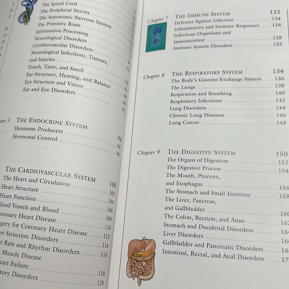 DK Hardcover Nonfiction Book: The Human Body Illustrated Guide 1995 EC - Picture 7 of 11